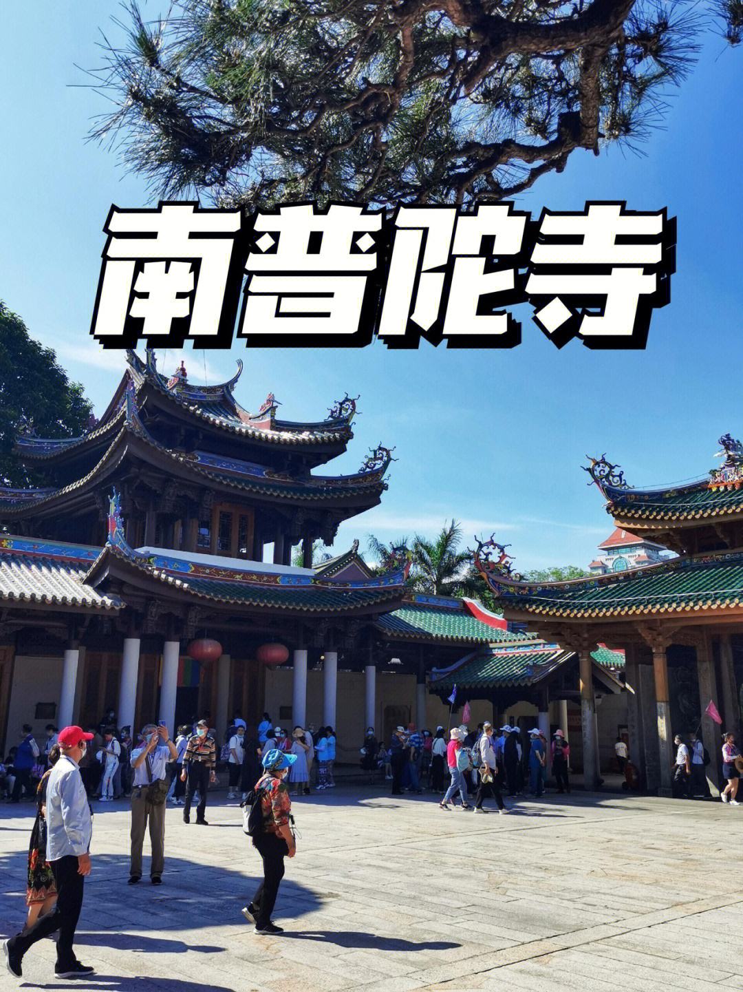 手游普陀寺攻略(手游普陀山怎么加点比较好)下载