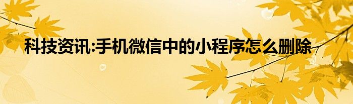 科技资讯社小程序注册(科技资讯社小程序注册不了)下载